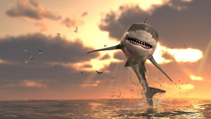 Have Backup Vendors “Jumped the Shark”? 